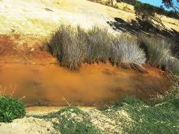 Acid Sulfate Soils